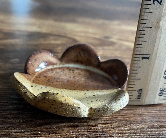 Tiny Sandy Flower